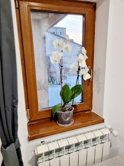 Cozy Apartment Near City Center Bukarest Eksteriør billede